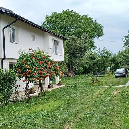 Casa Pandrea Guest House Cartisoara Ngoại thất bức ảnh