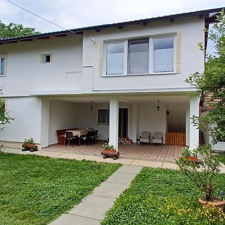 Casa Pandrea Guest House Cartisoara Ngoại thất bức ảnh