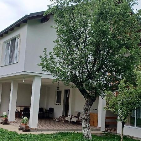 Casa Pandrea Guest House Cartisoara Ngoại thất bức ảnh