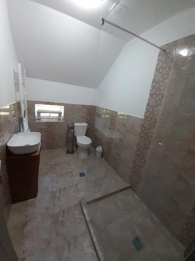 Casa Pandrea Guest House Cartisoara Ngoại thất bức ảnh