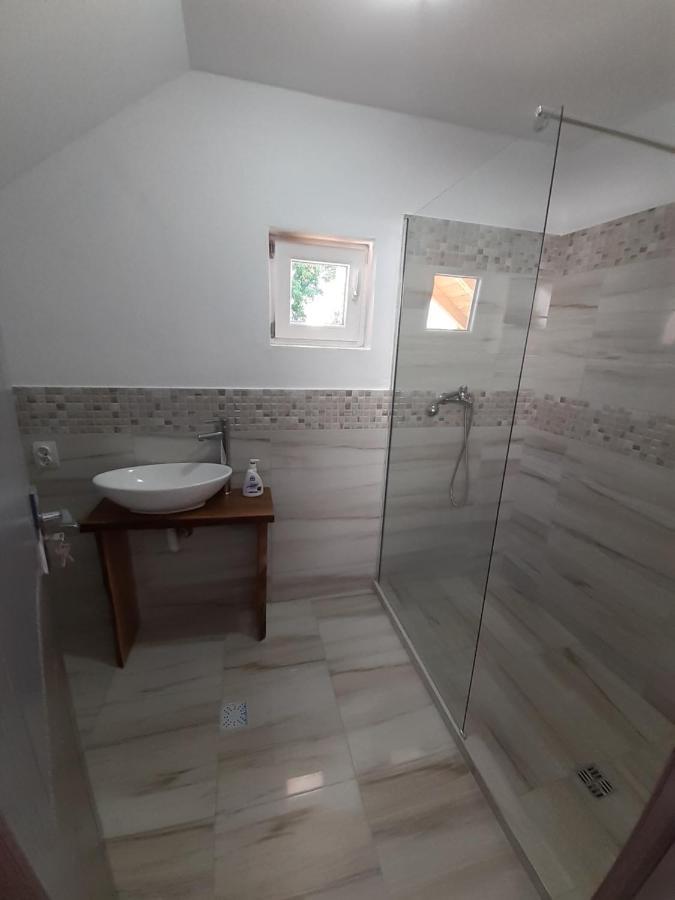 Casa Pandrea Guest House Cartisoara Ngoại thất bức ảnh