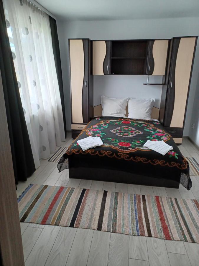 Casa Pandrea Guest House Cartisoara Ngoại thất bức ảnh
