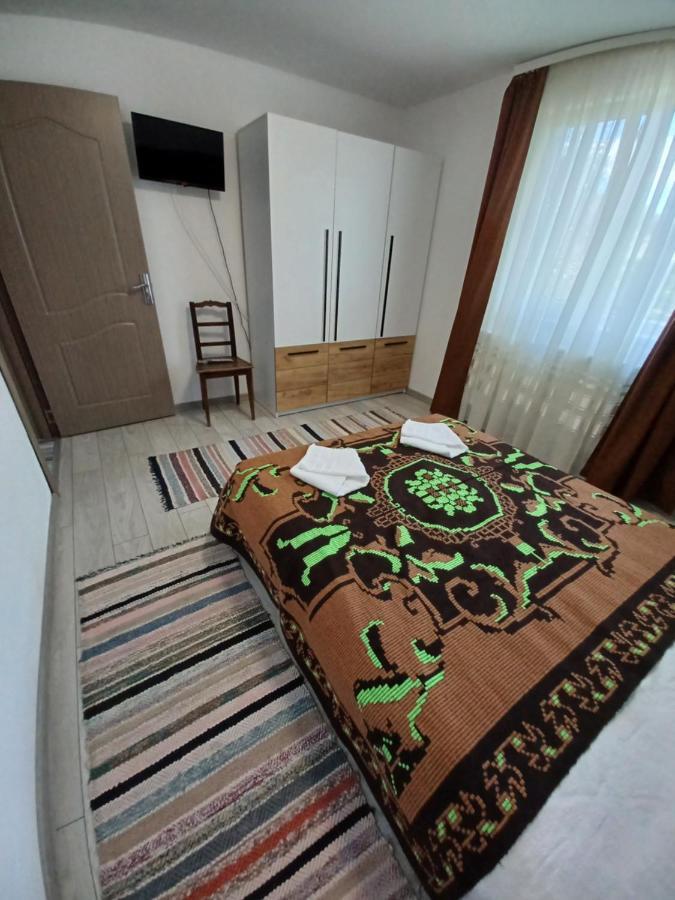 Casa Pandrea Guest House Cartisoara Ngoại thất bức ảnh