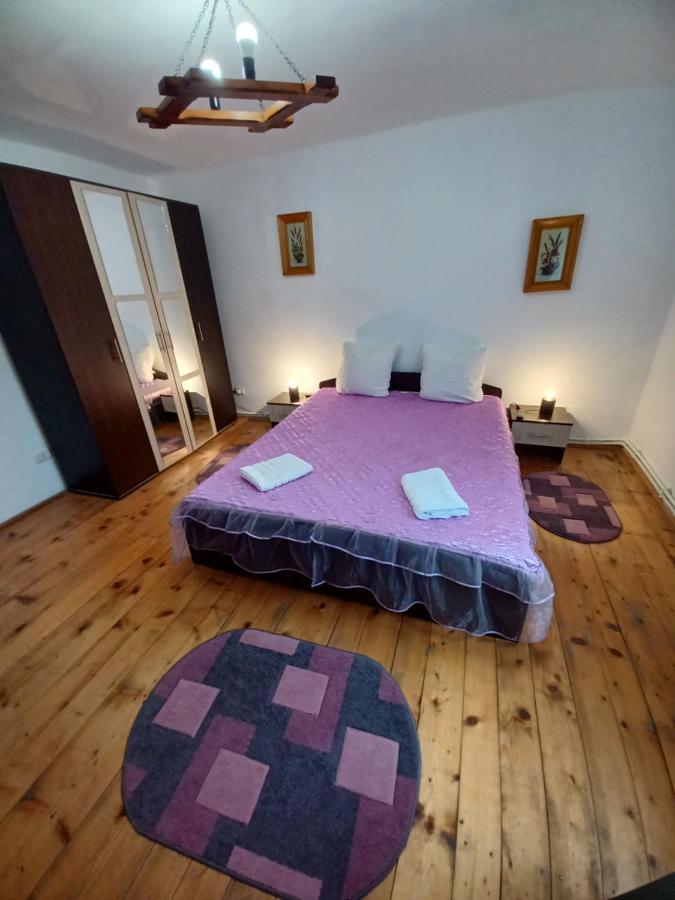 Casa Pandrea Guest House Cartisoara Ngoại thất bức ảnh