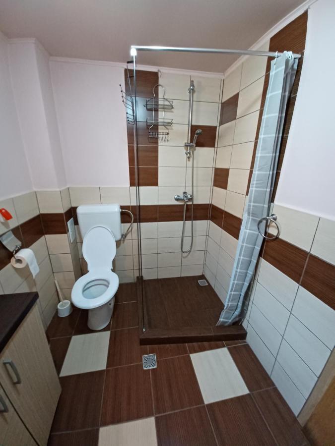 Casa Pandrea Guest House Cartisoara Ngoại thất bức ảnh