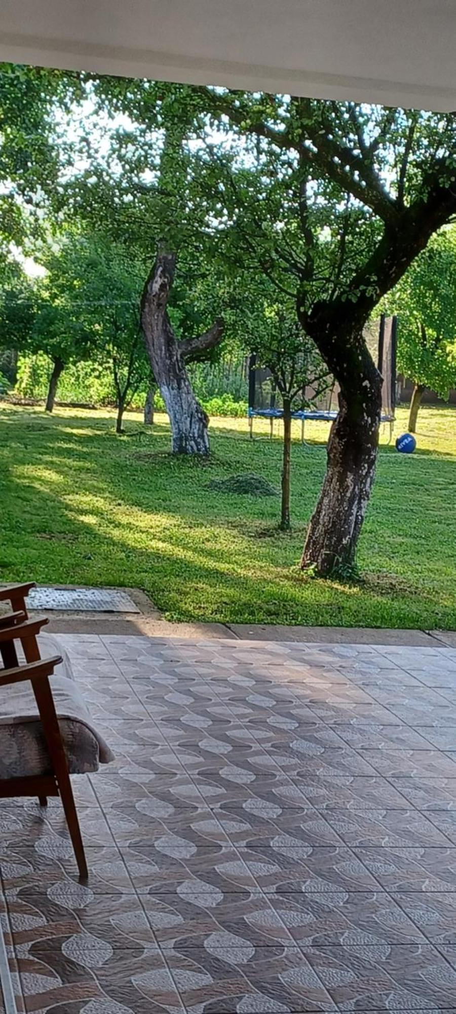 Casa Pandrea Guest House Cartisoara Ngoại thất bức ảnh